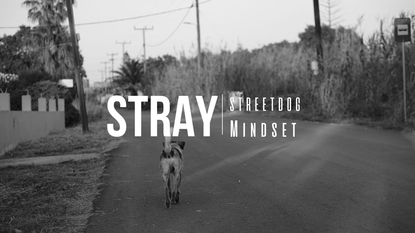 STREETDOG MINDSET | WALK WITH THE STRAY | SHIRT