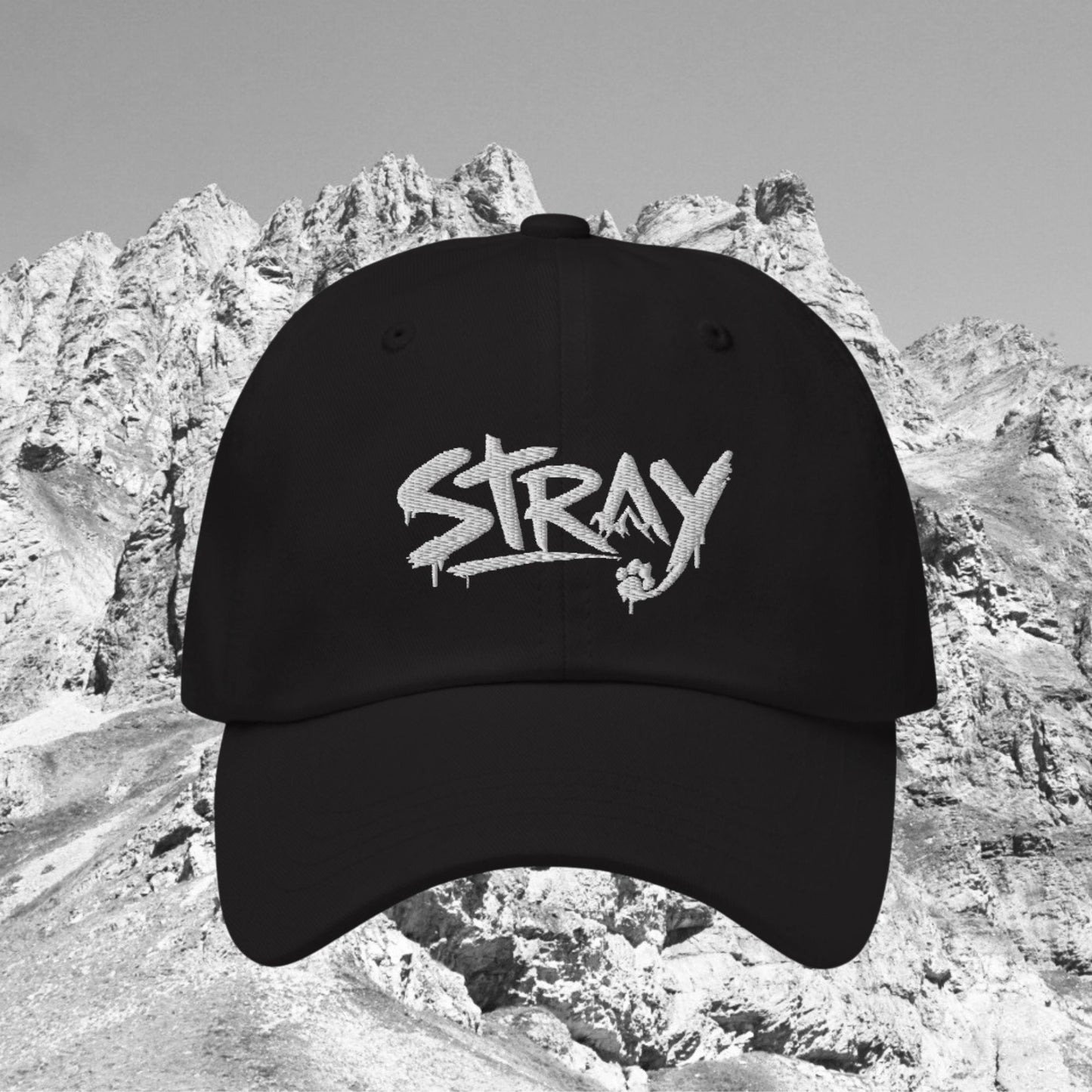 STRAY | Street Dog Mindset | CAP