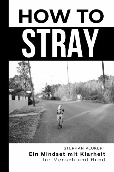 Book Cover Variant Thumbnail